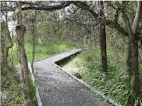 Rowes Bay Wetlands