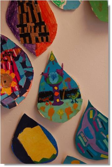 Creek to Coral ‘Capturing our Catchment’ Contest Artwork